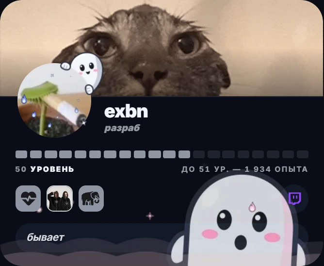 Карточка профиля exbn с рамкой «Призрак» и эффектом «Призраки»